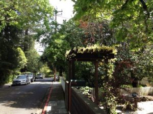 Street in San Anselmo