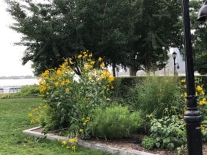 Battery Park