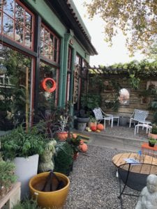 Potted in Los Feliz