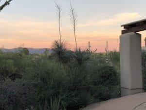 A beautiful sunset at Boulders Resort