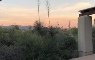 A beautiful sunset at Boulders Resort