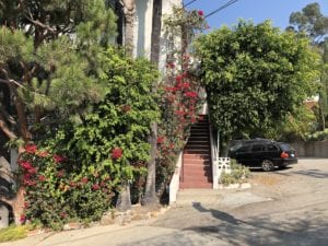 Top of the Mattachine Steps