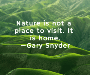 Gary Snyder nature quote