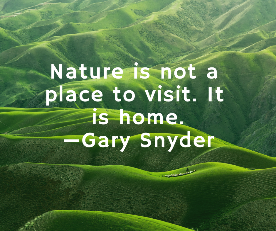 Gary Snyder nature quote