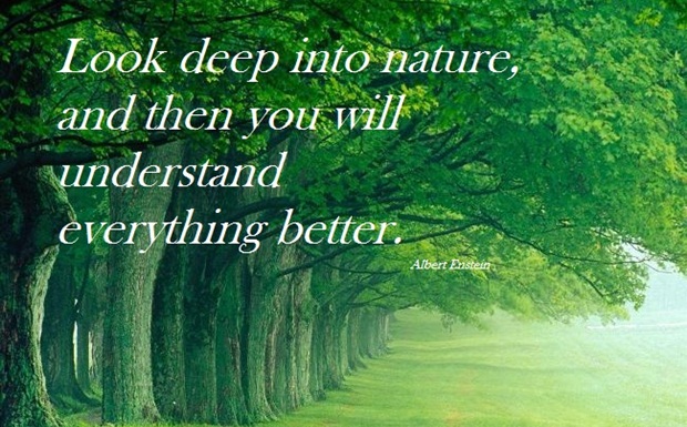Einstein quote nature