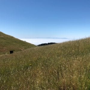 layer of clouds, Mt. Tam
