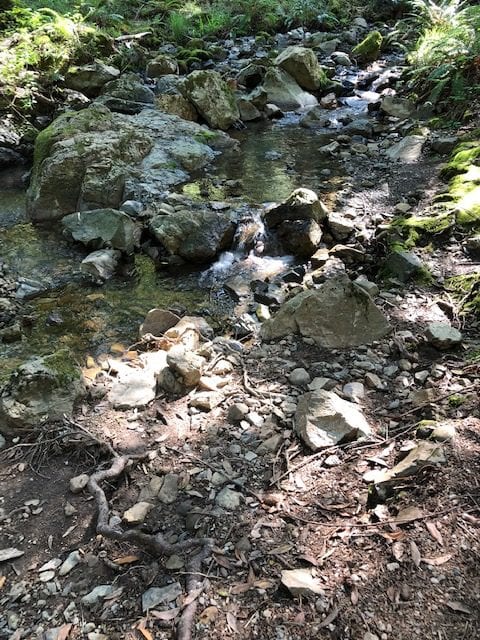 stream, Rock Springs trail