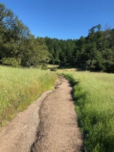Rock Springs, Mt. Tamalpais