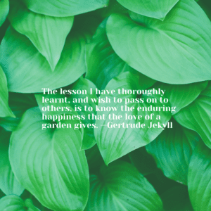 garden quote Gertrude Jekyll