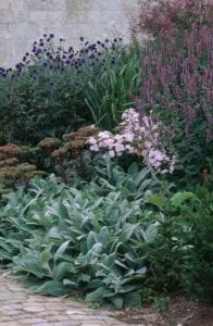 garden inspiration