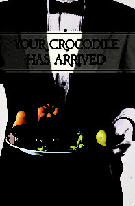 Your Crocodile Has Arrived by Laurie McAndish King